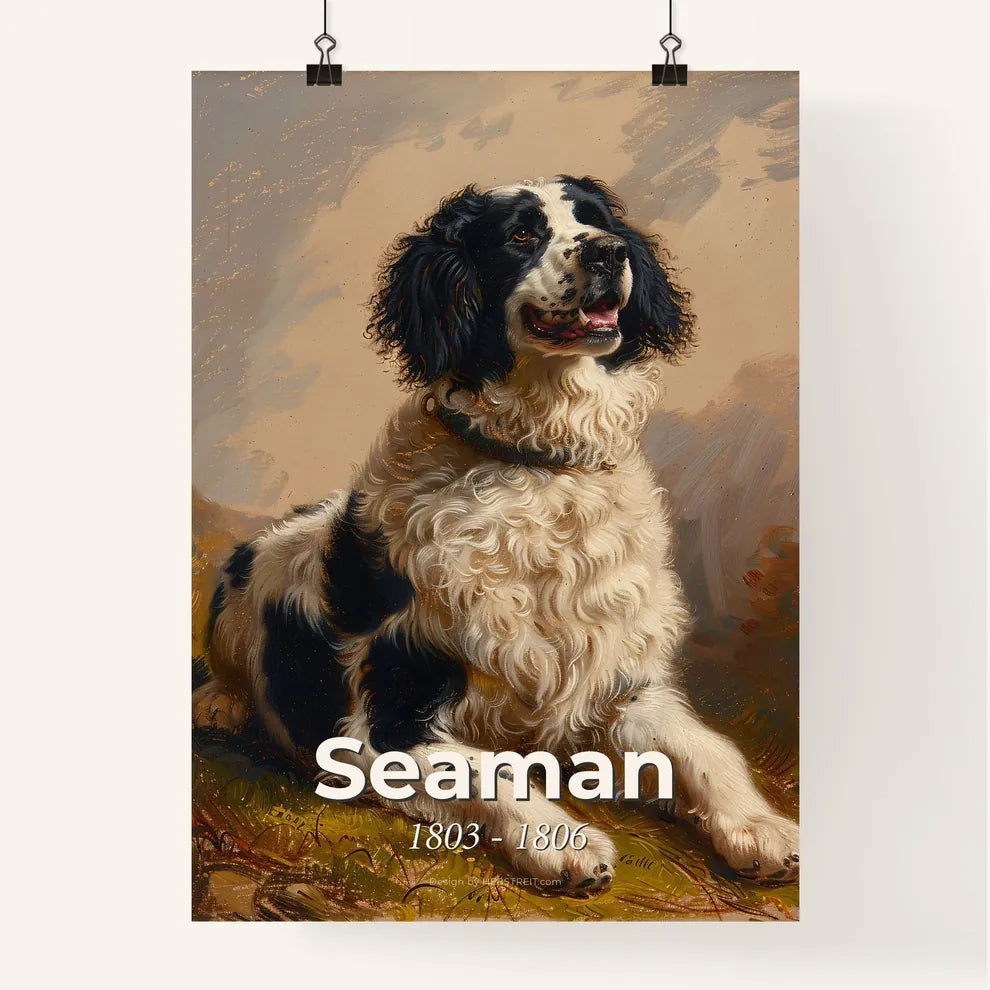 Serene Companion: The Newfoundland Dog of Lewis and Clark  Poster