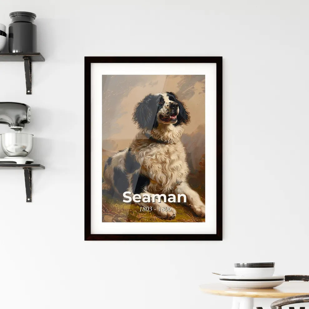 Serene Companion: The Newfoundland Dog of Lewis and Clark  Framed Print