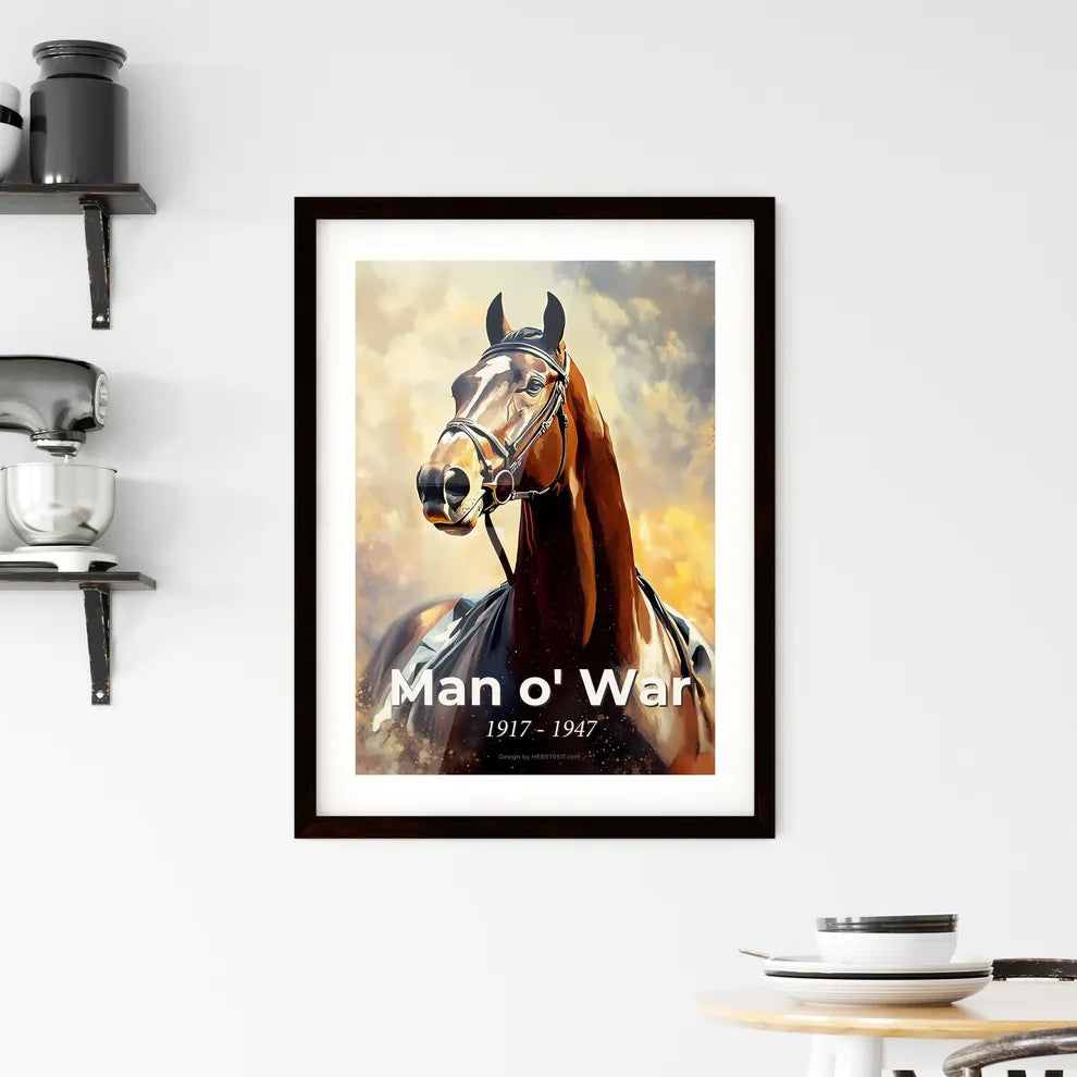 Portrait of Man o' War Framed Print