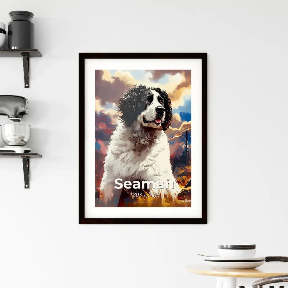 Portrait of Seaman Framed Print