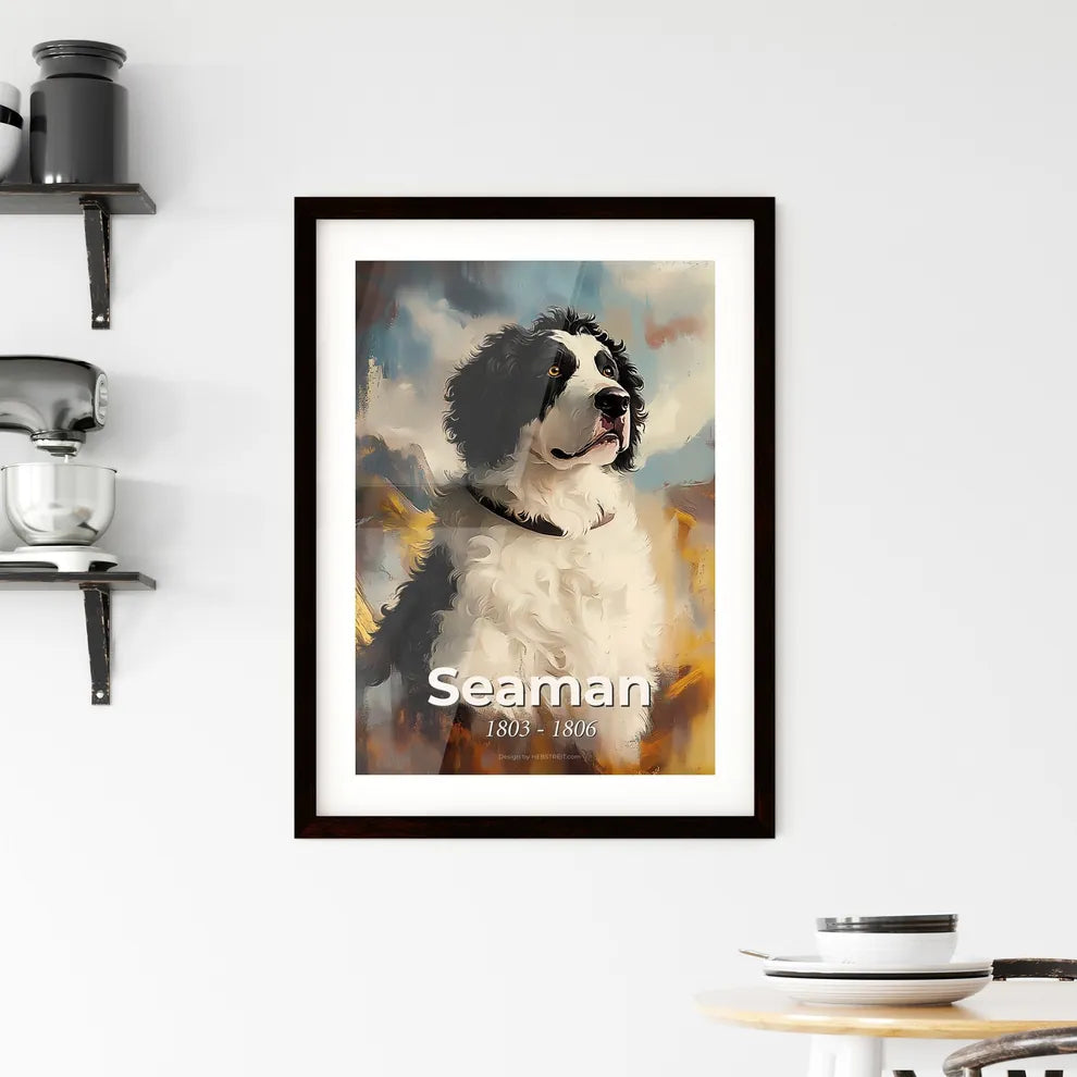 Portrait of Seaman Framed Print