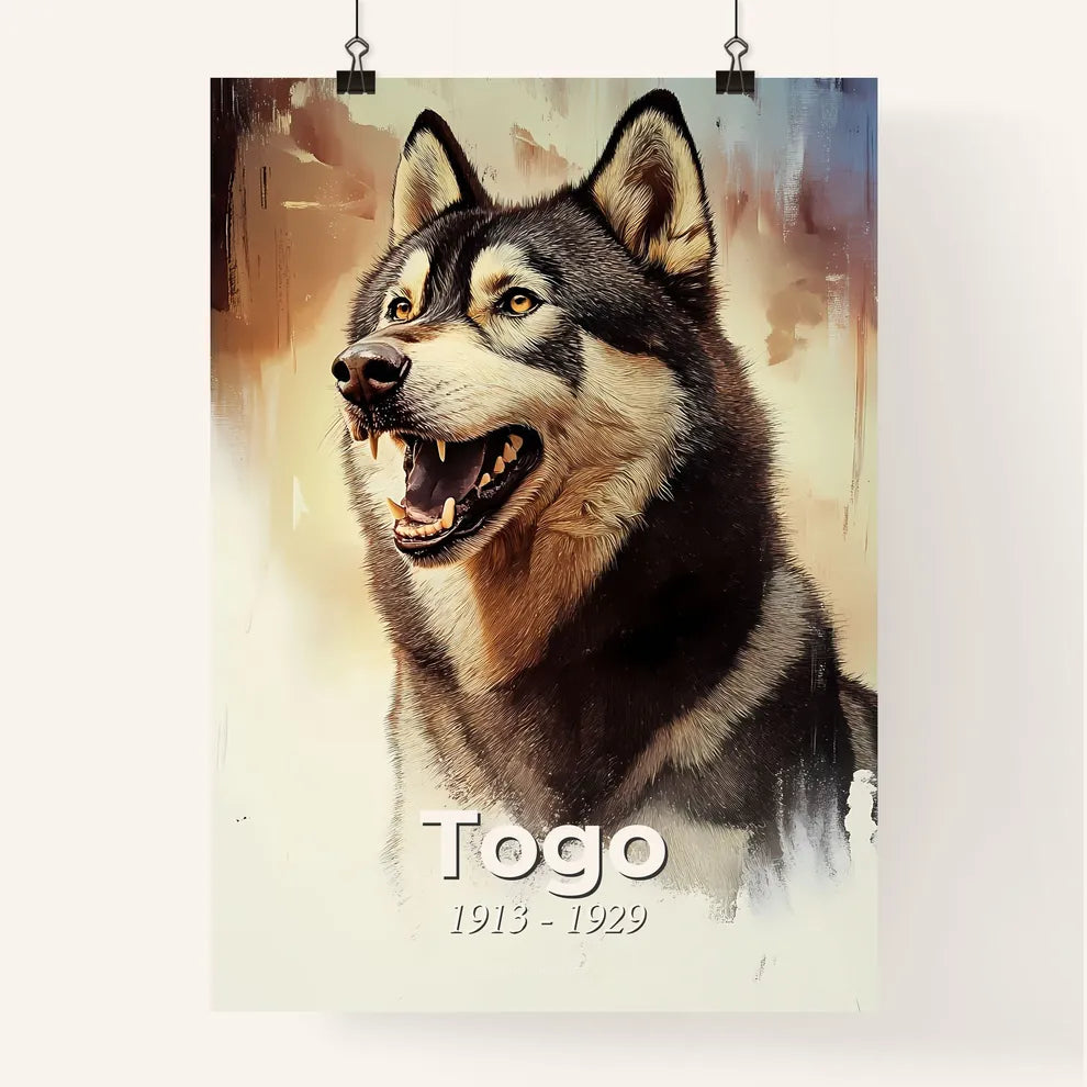 Portrait of Togo Poster