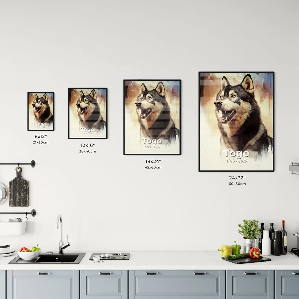 Portrait of Togo Size Chart