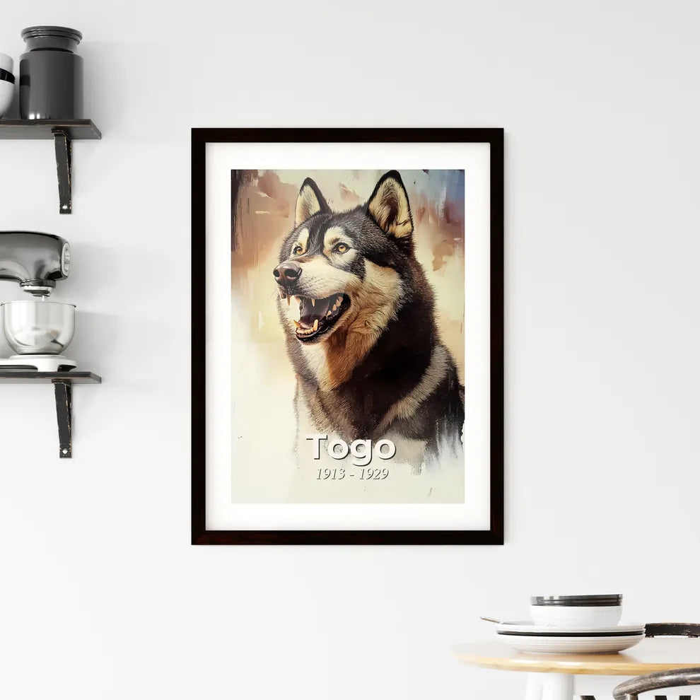 Portrait of Togo Framed Print