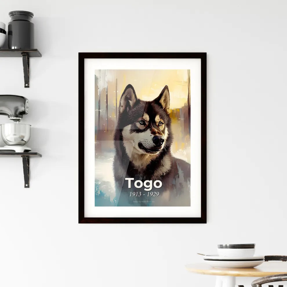 Portrait of Togo Framed Print
