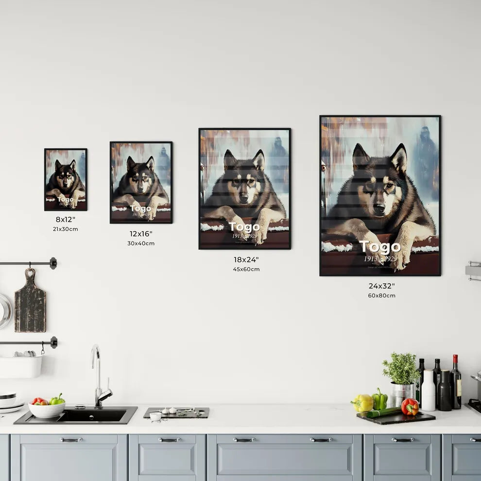 Portrait of Togo Size Chart