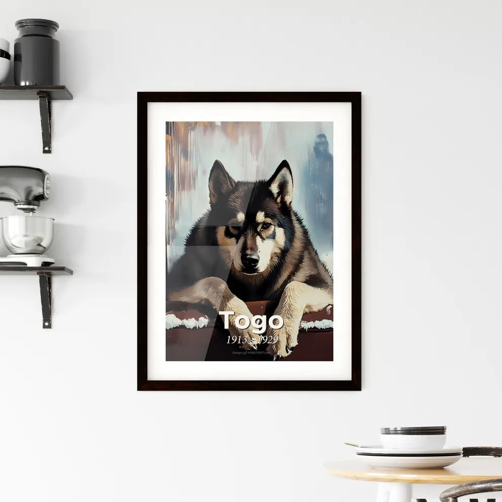 Portrait of Togo Framed Print