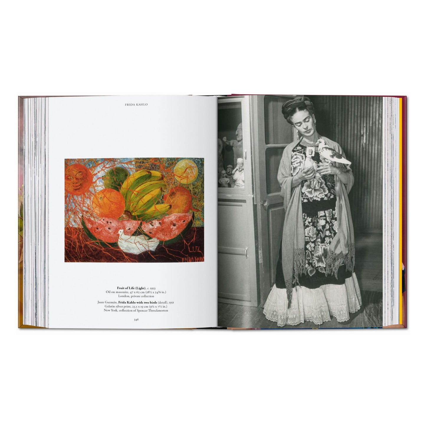 Frida Kahlo. 40th Ed. (English)