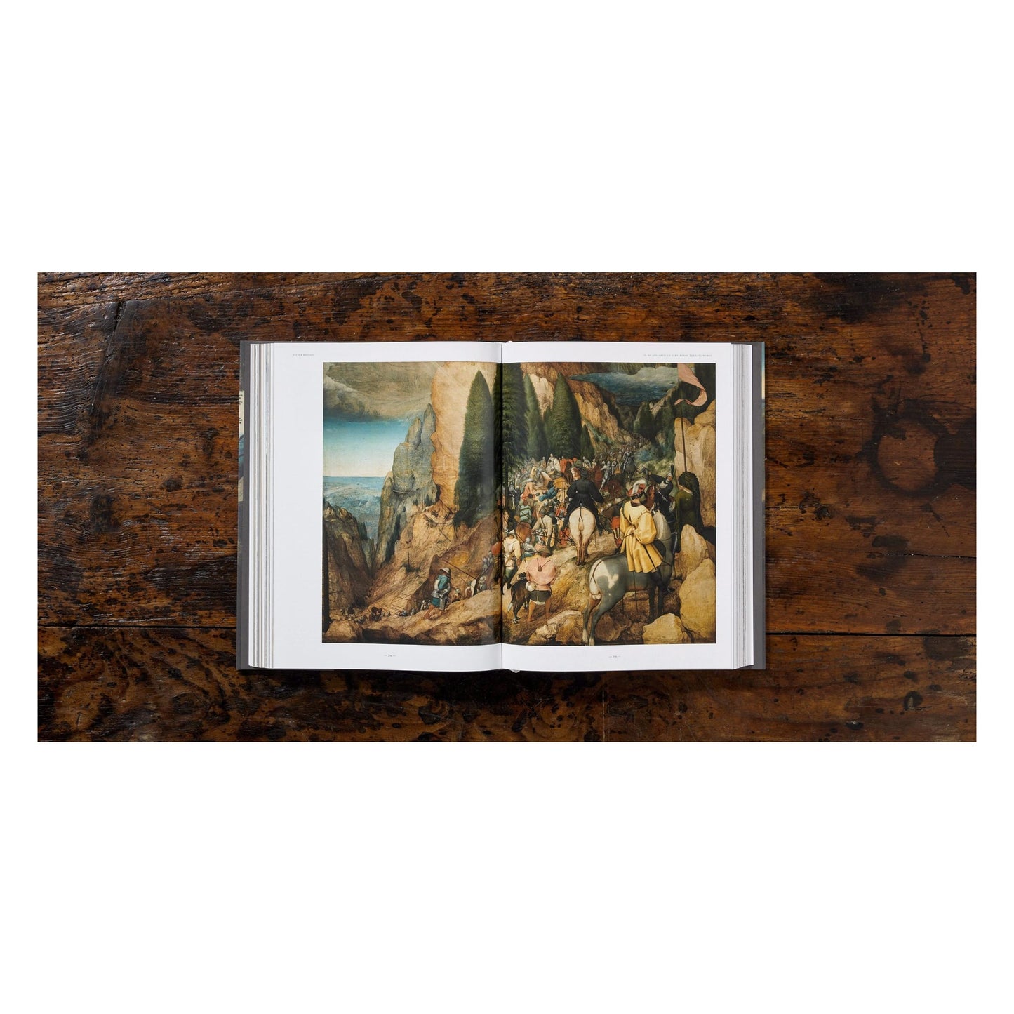 Bruegel. The Complete Works (English)