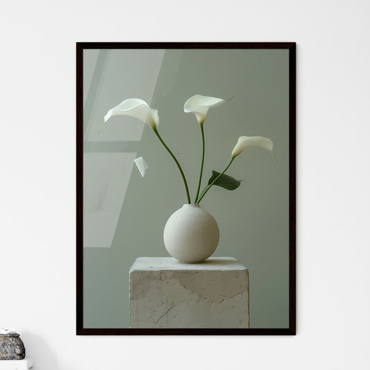 White Calla Lily in Black Vase on Italian Ta - Framed Art Print