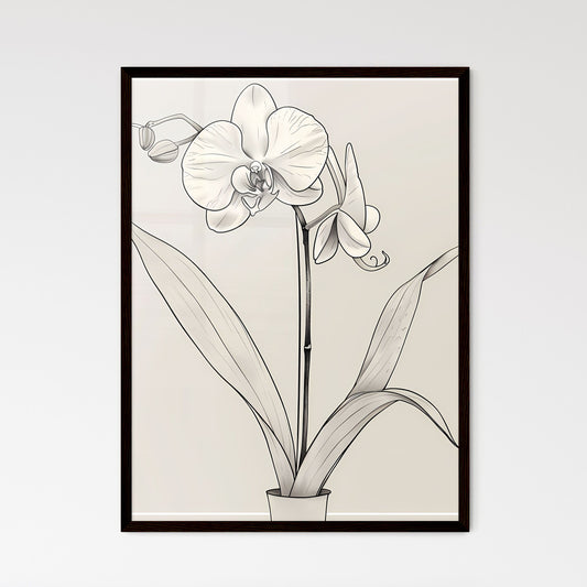 Minimalist Line Drawing Orchid Flower Art - Framed Art Print