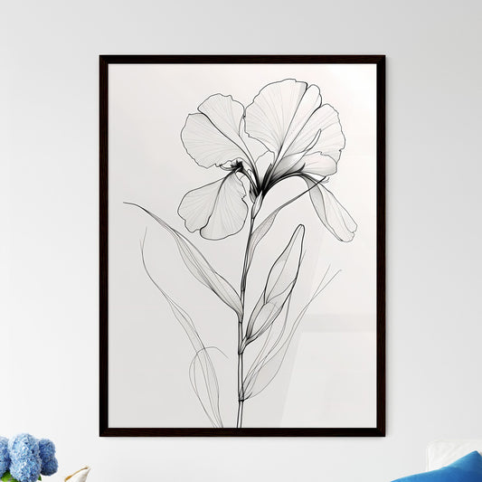 Single Line Orchid Flower Drawing - Framed Art Print