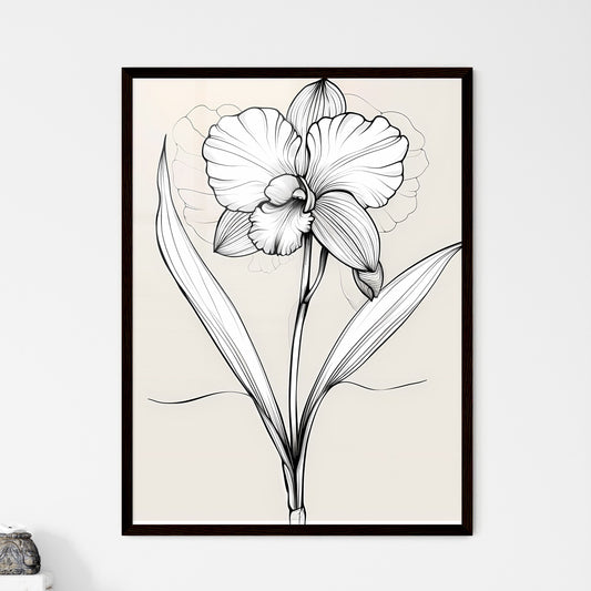 Single Line Orchid Drawing - Elegant Minimal - Framed Art Print