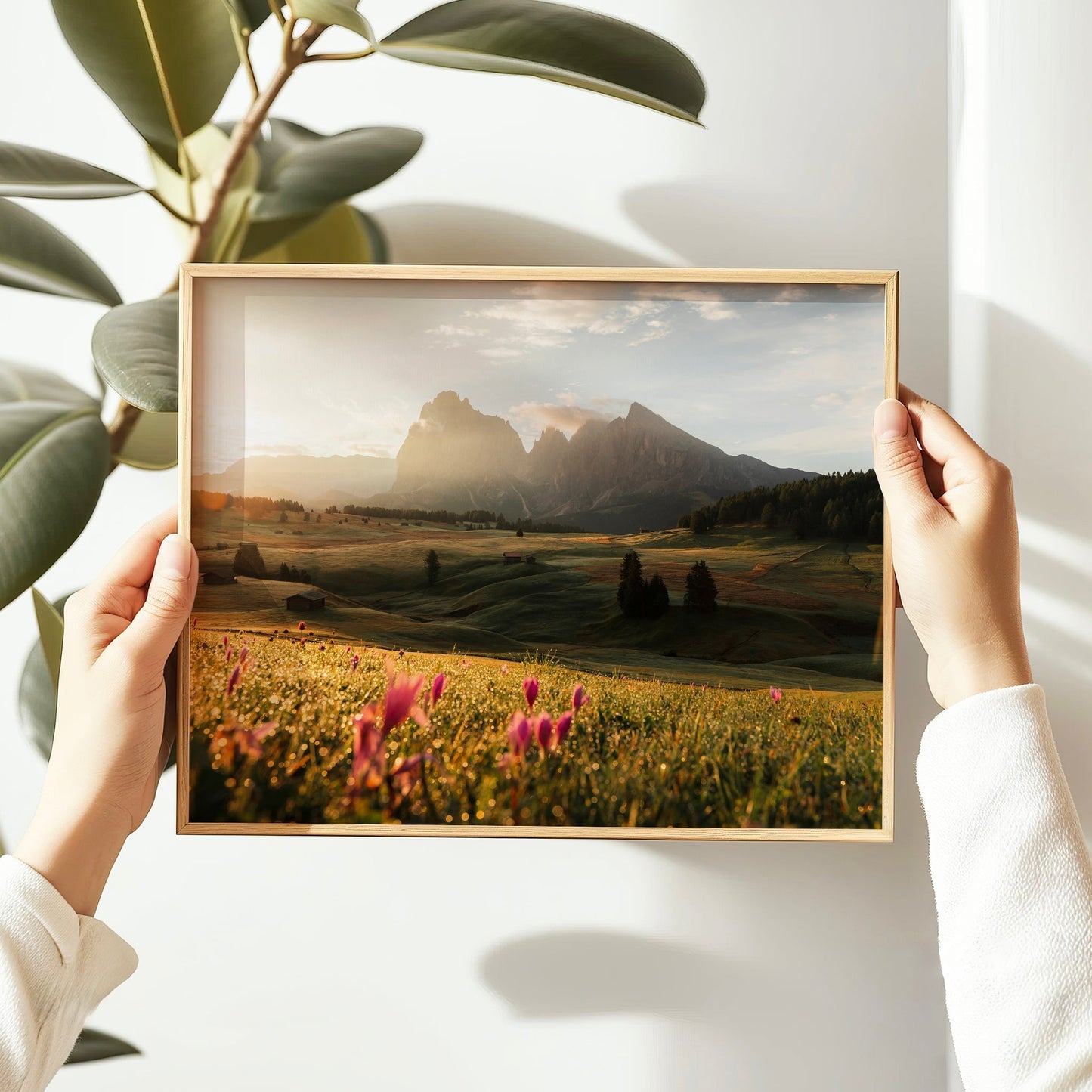 Alpe di Siusi, Dolomites