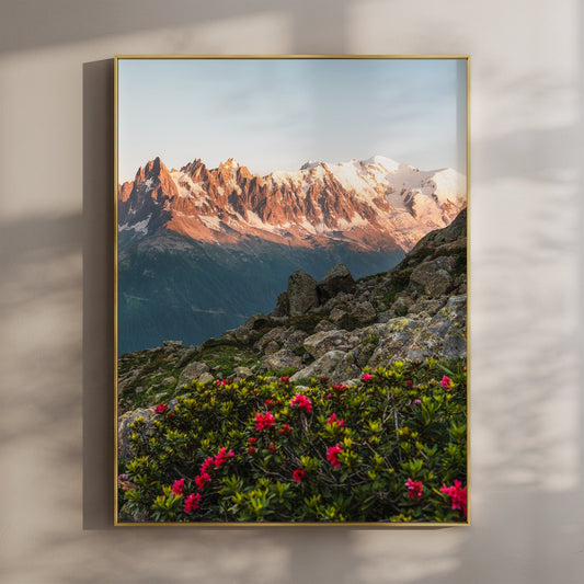 Mont Blanc Massif with Vibrant Flowers - Chamonix Wall Art Print