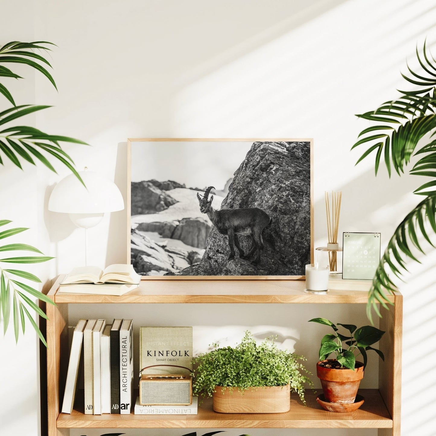 Alpine Ibex Wall Art – Black and White Wildlife Photography Print