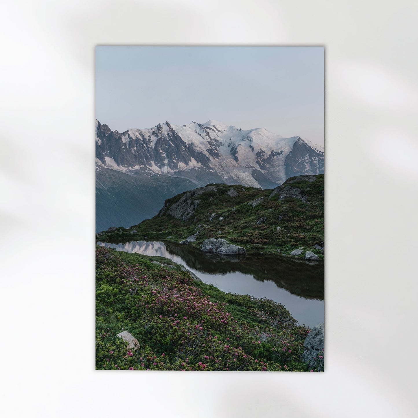 Lac de la Flégère Print – Mont Blanc Reflections with Wildflowers, Chamonix