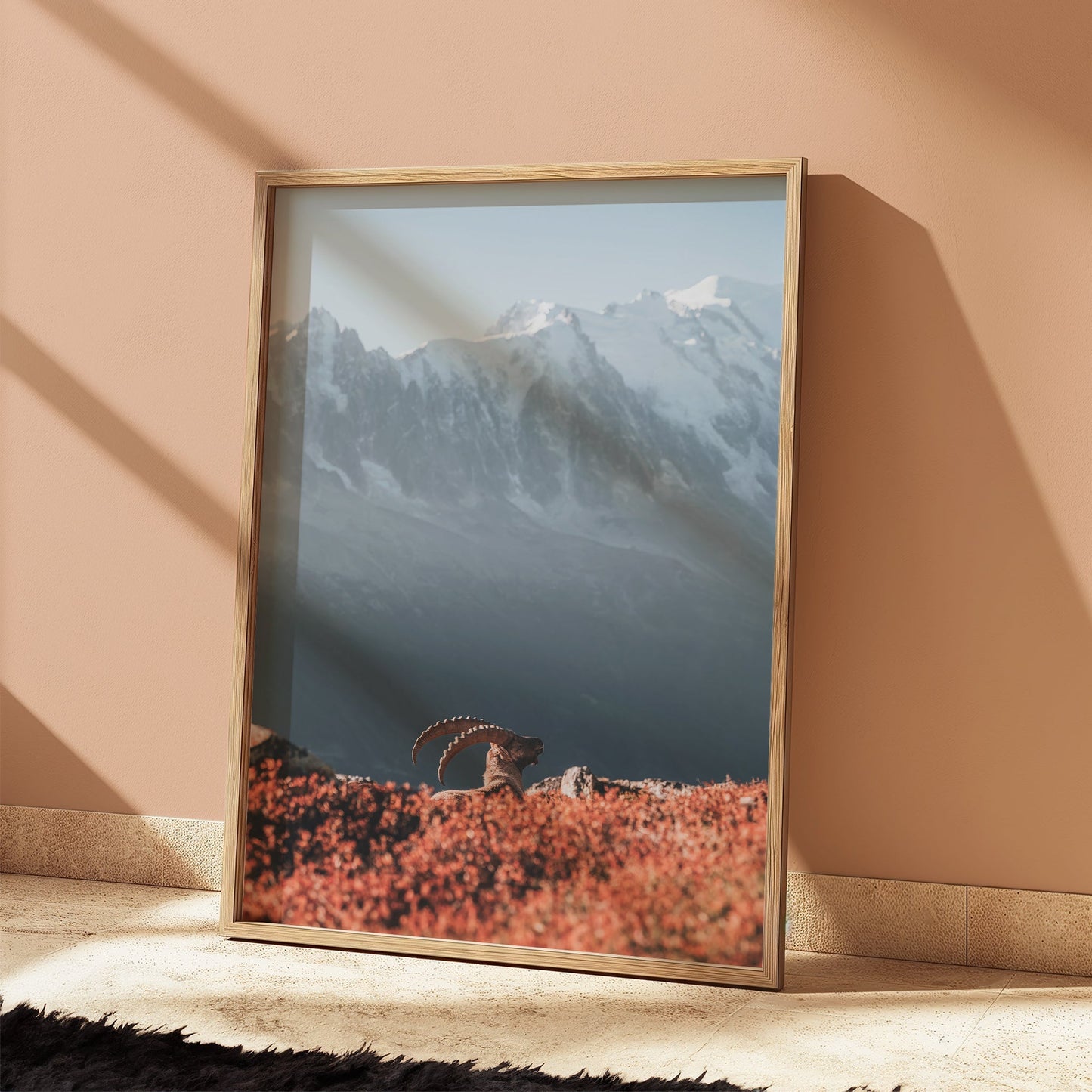 Ibex at Sunrise Print – Chamonix Wildlife and Mont Blanc Wall Art