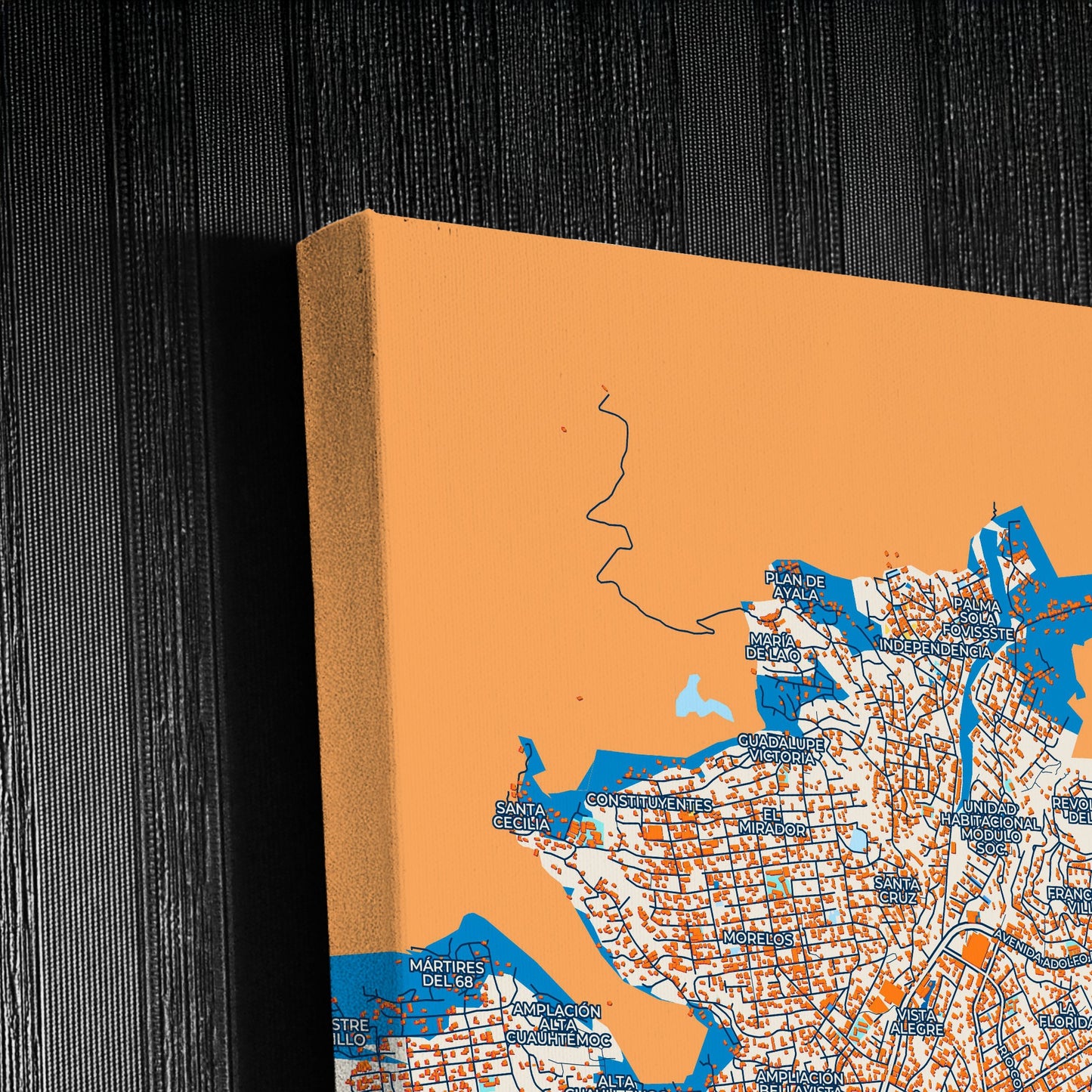 Acapulco Mexico Colorful City Map Canvas Print Detail