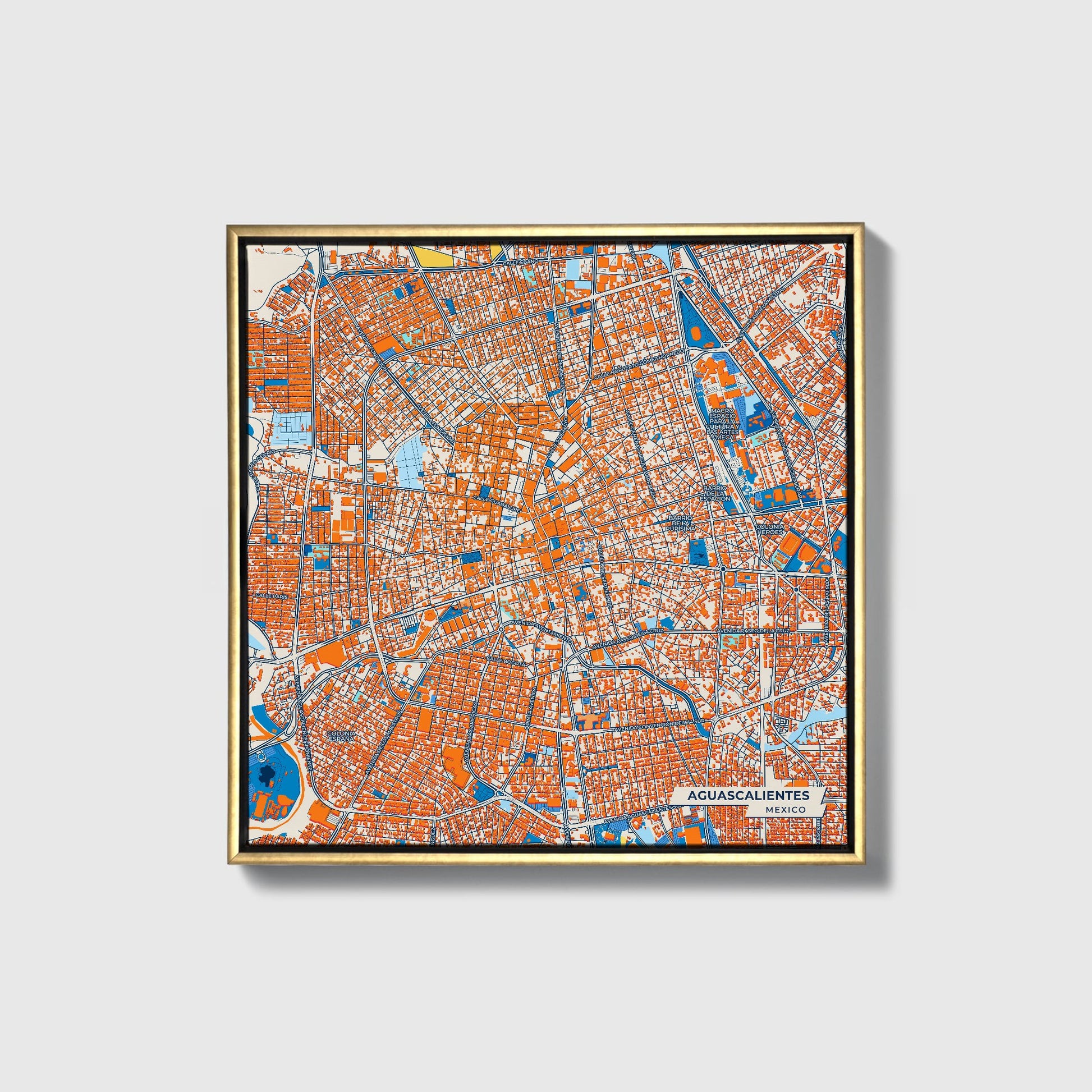 Aguascalientes Mexico Colorful City Map Canvas Print • Gold Framed
