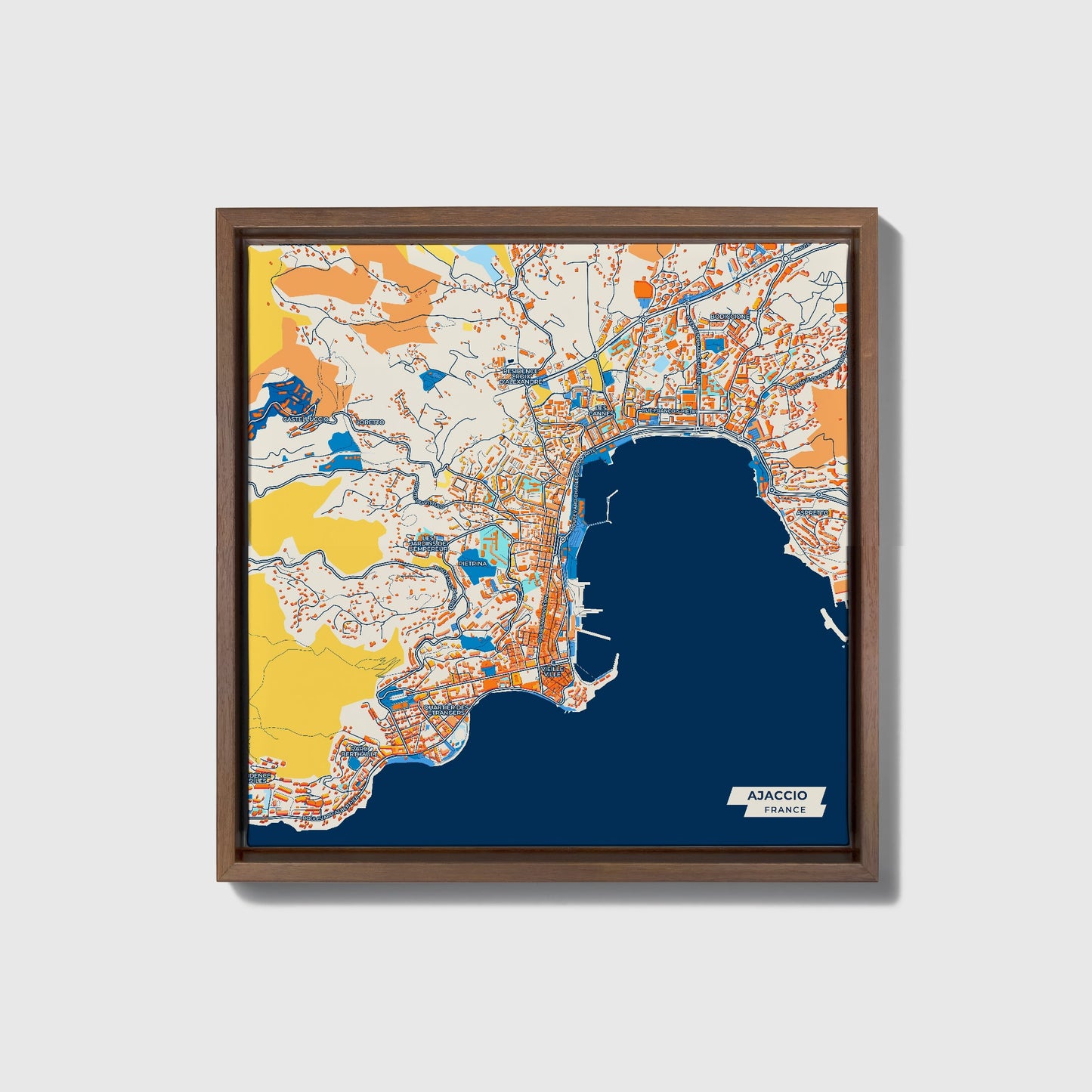 Ajaccio France Colorful City Map Canvas Print • Dark Wooden Framed