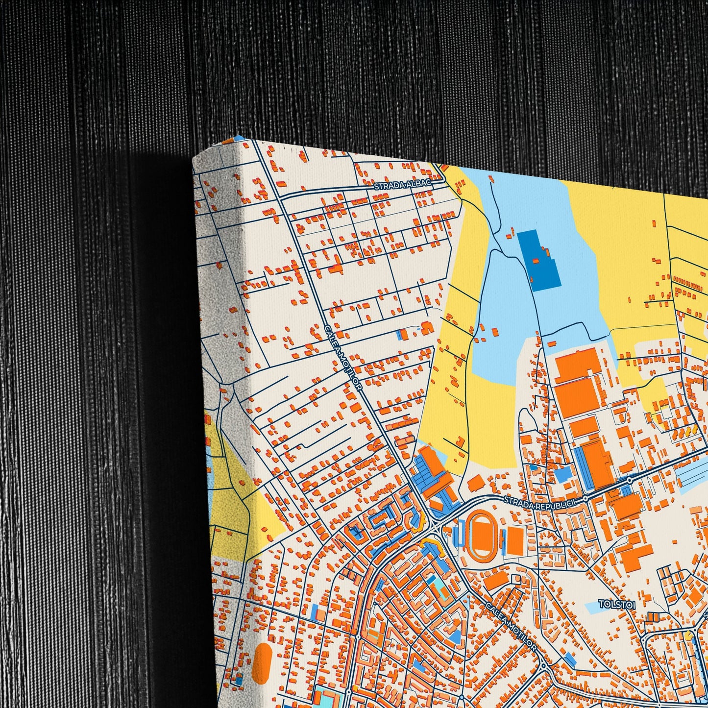 Alba Iulia Romania Colorful City Map Canvas Print Detail