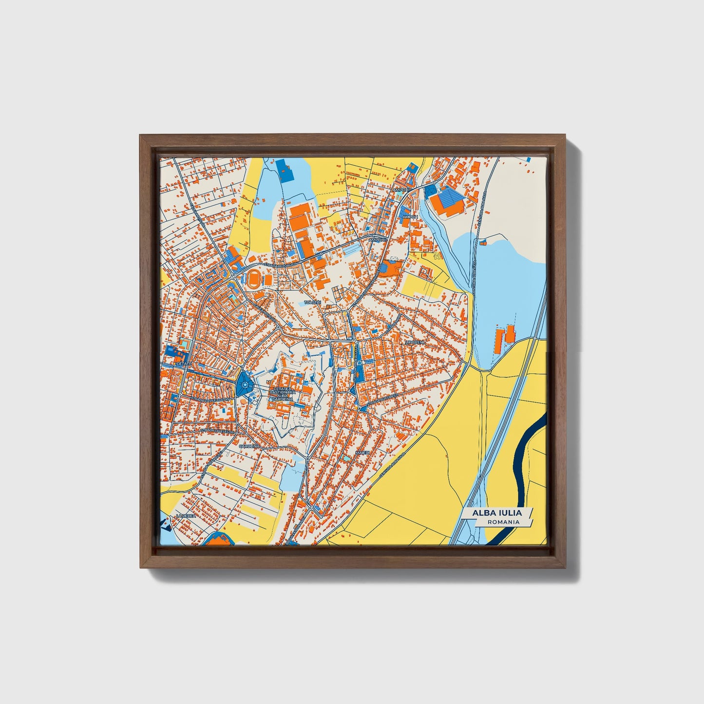 Alba Iulia Romania Colorful City Map Canvas Print • Dark Wooden Framed