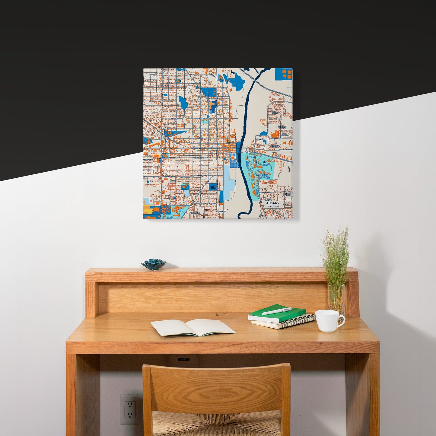 Albany Georgia Colorful City Map Canvas Print Scene