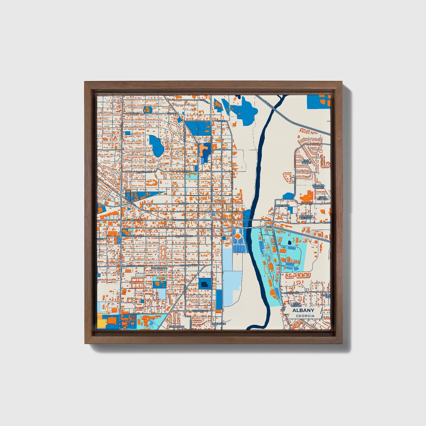 Albany Georgia Colorful City Map Canvas Print • Dark Wooden Framed