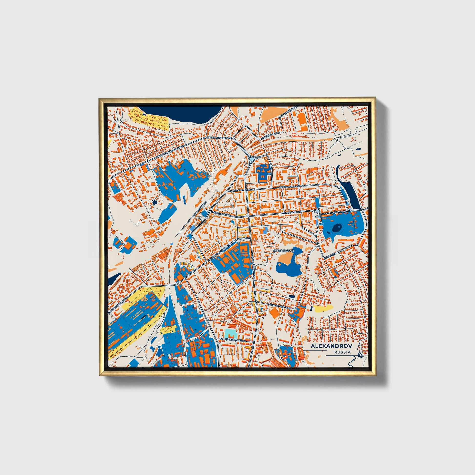 Александров Russia Colorful City Map Canvas Print • Gold Framed