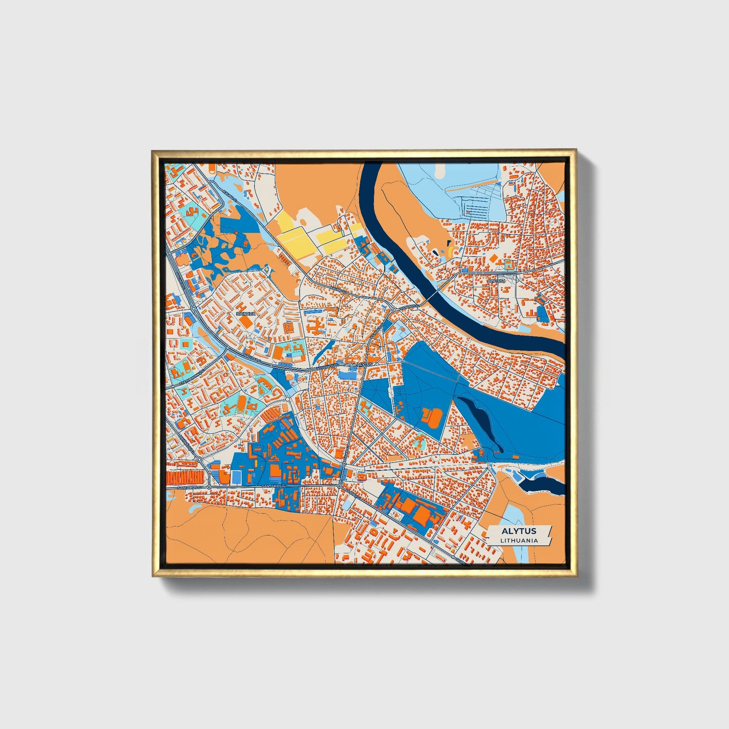 Alytus Lithuania Colorful City Map Canvas Print • Gold Framed