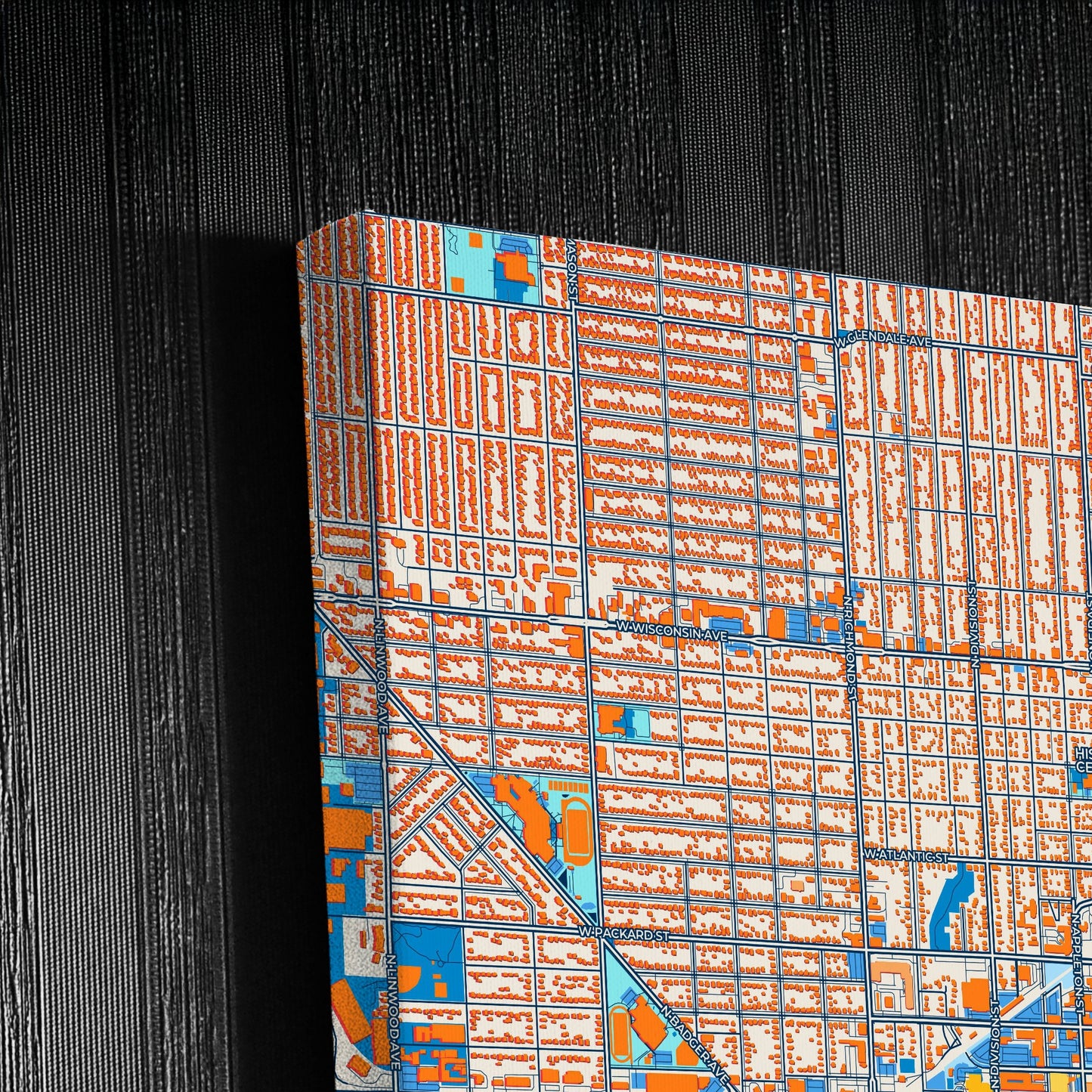 Appleton Wisconsin Colorful City Map Canvas Print Detail