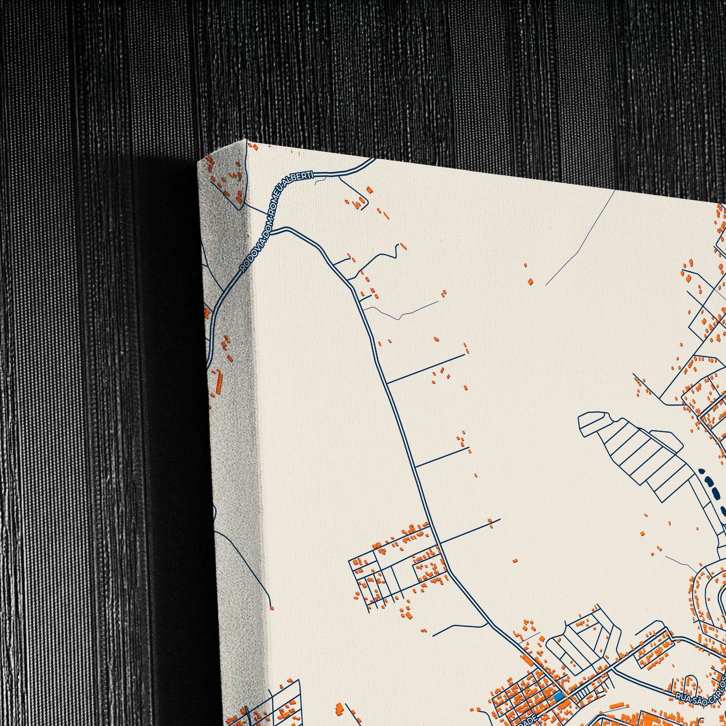 Apucarana Brazil Colorful City Map Canvas Print Detail