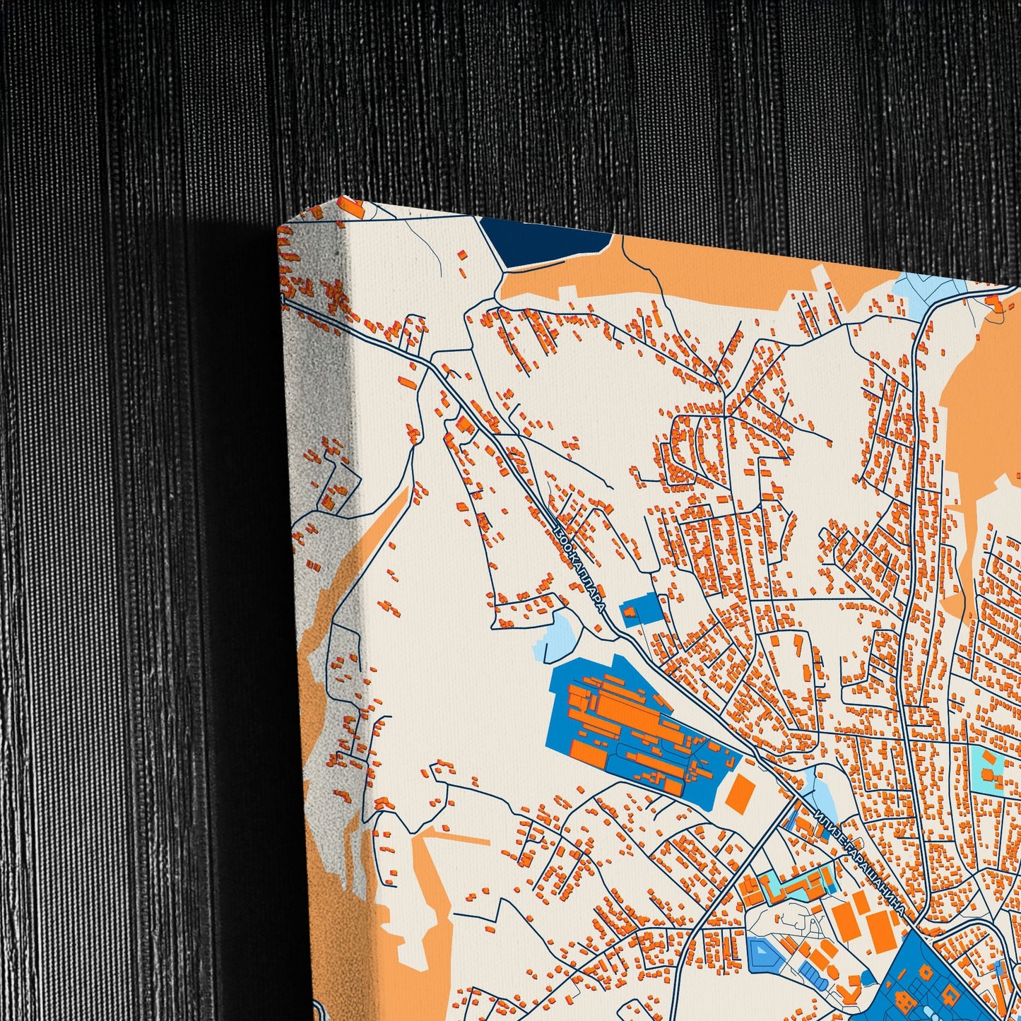 Аранђеловац Serbia Colorful City Map Canvas Print Detail