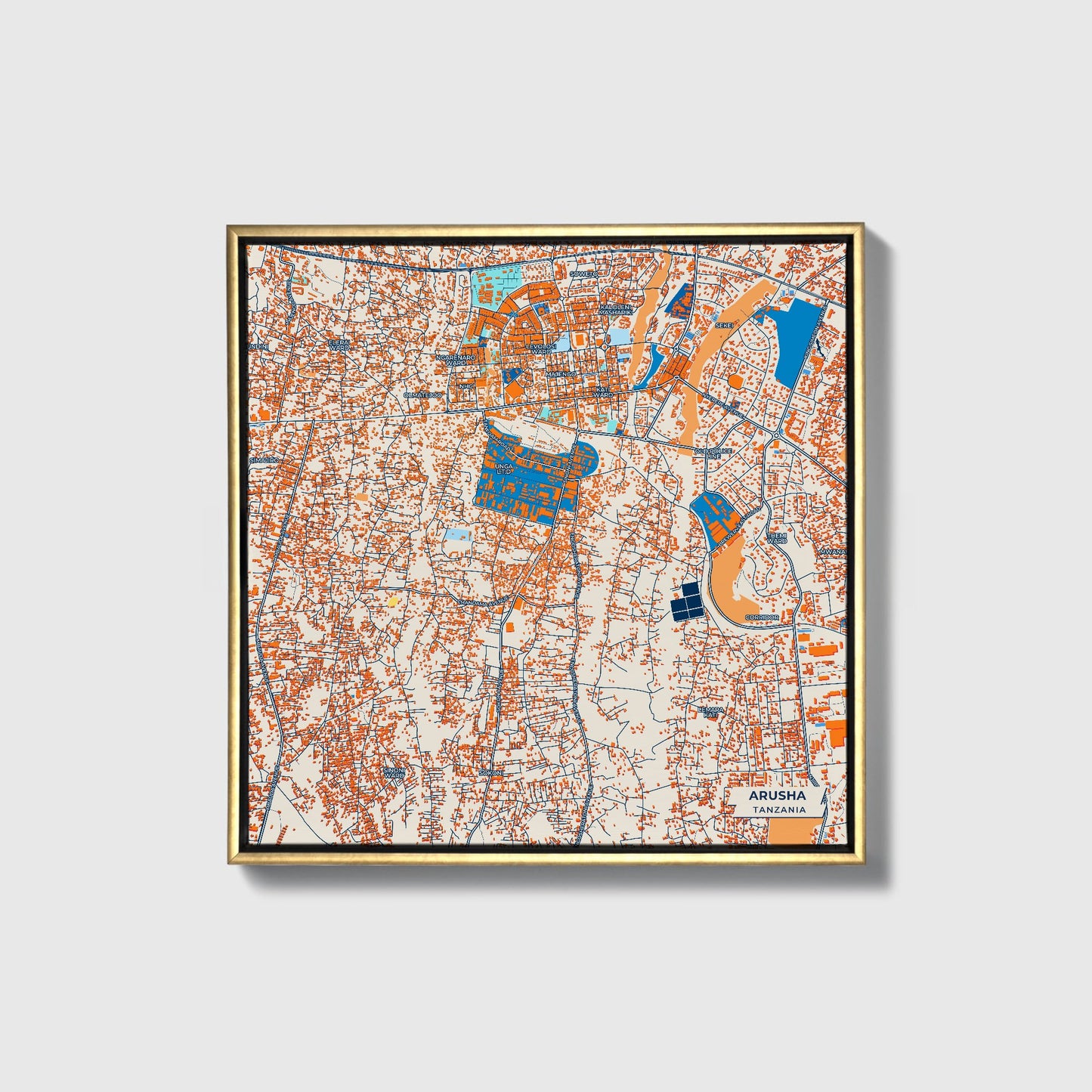 Arusha Tanzania Colorful City Map Canvas Print • Gold Framed