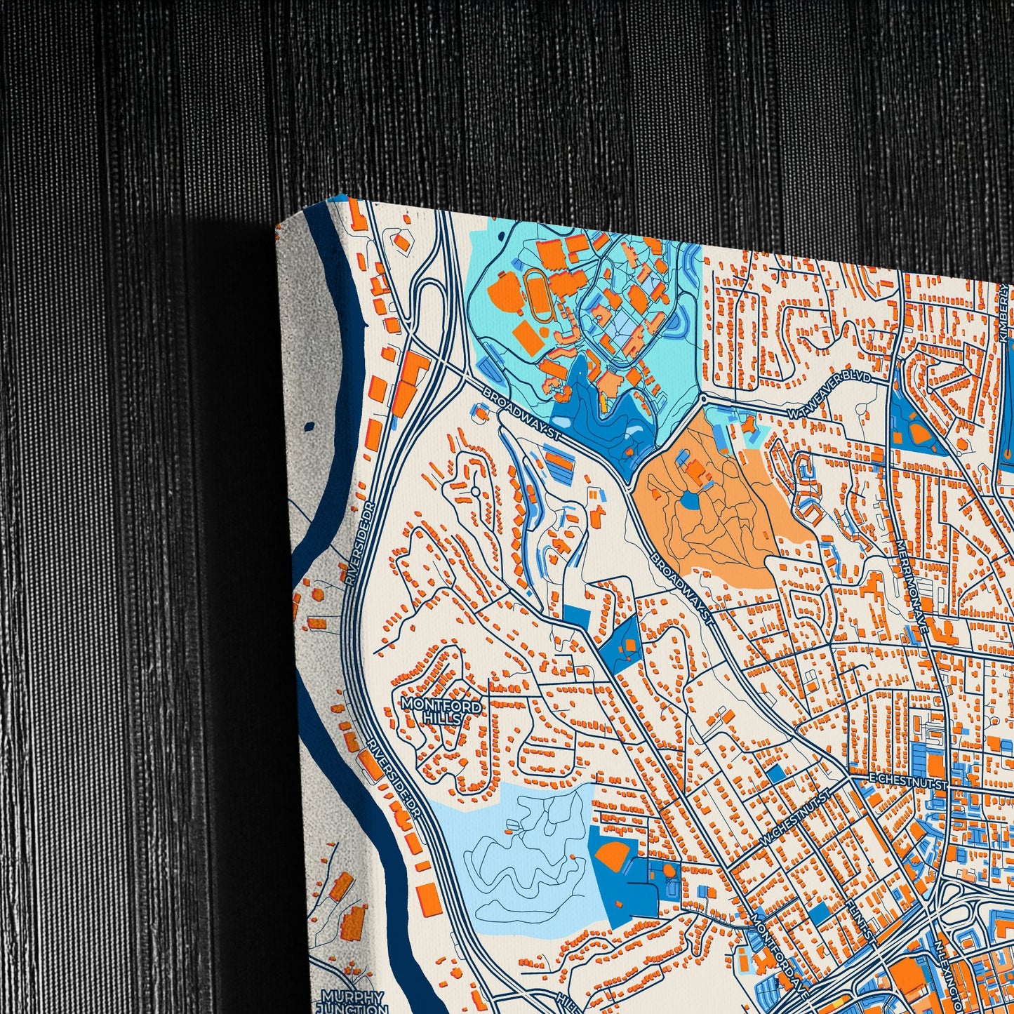 Asheville North Carolina Colorful City Map Canvas Print Detail