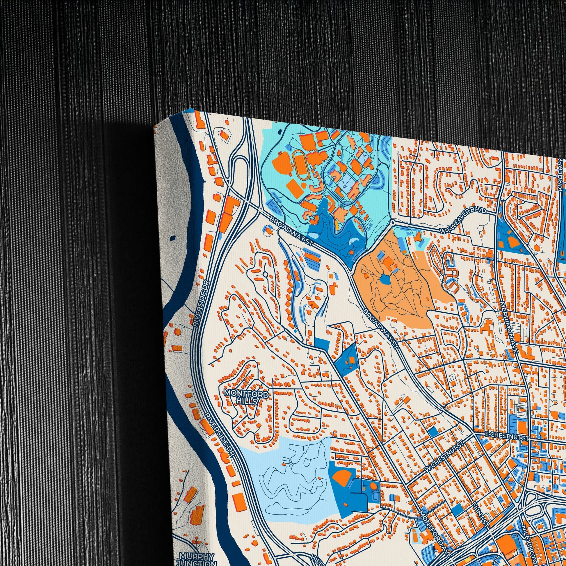 Asheville North Carolina Colorful City Map Canvas Print Detail