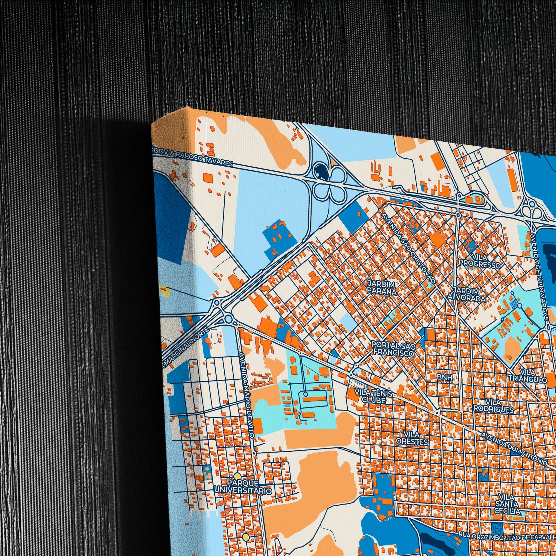 Assis Brazil Colorful City Map Canvas Print Detail