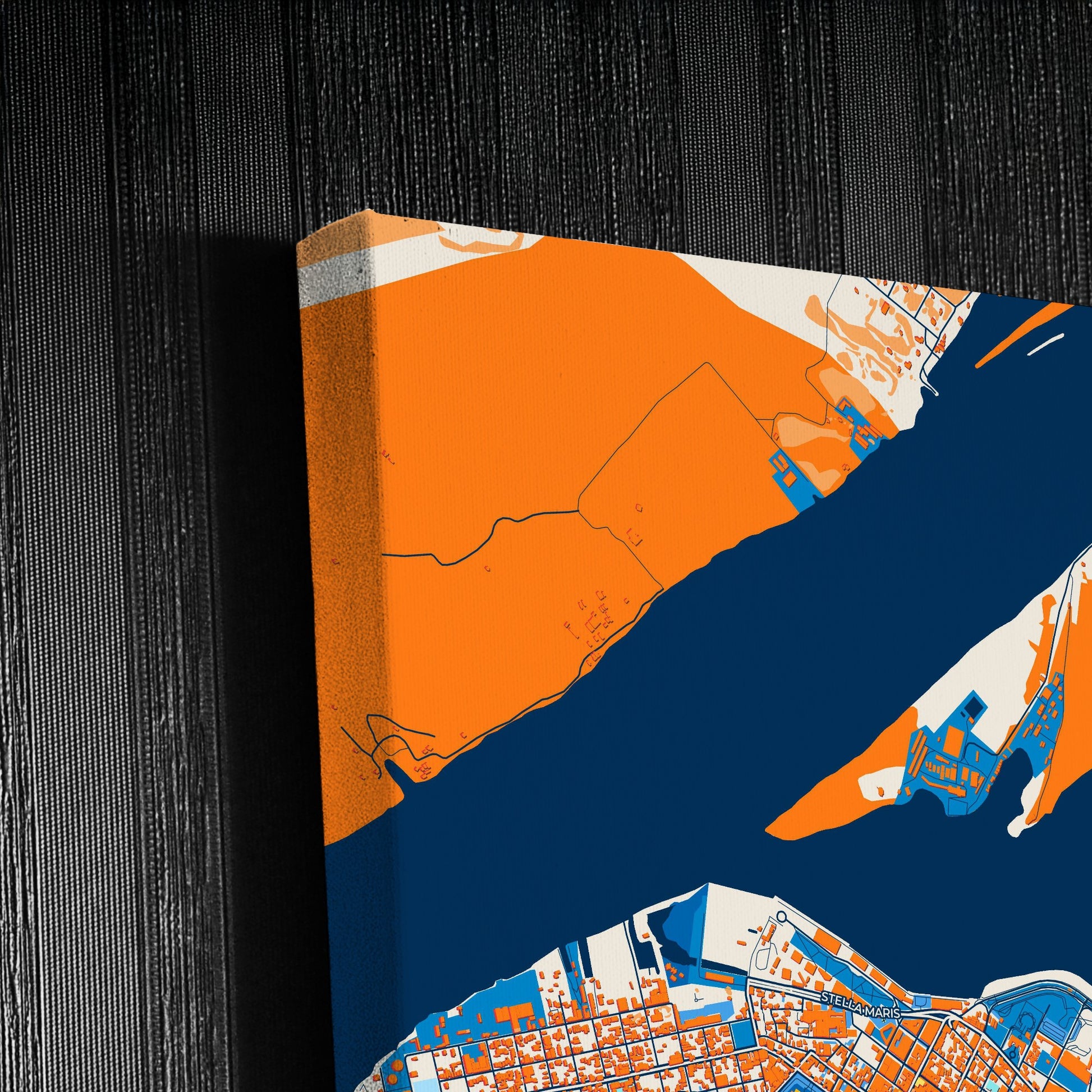 Asuncion Paraguay Colorful City Map Canvas Print Detail