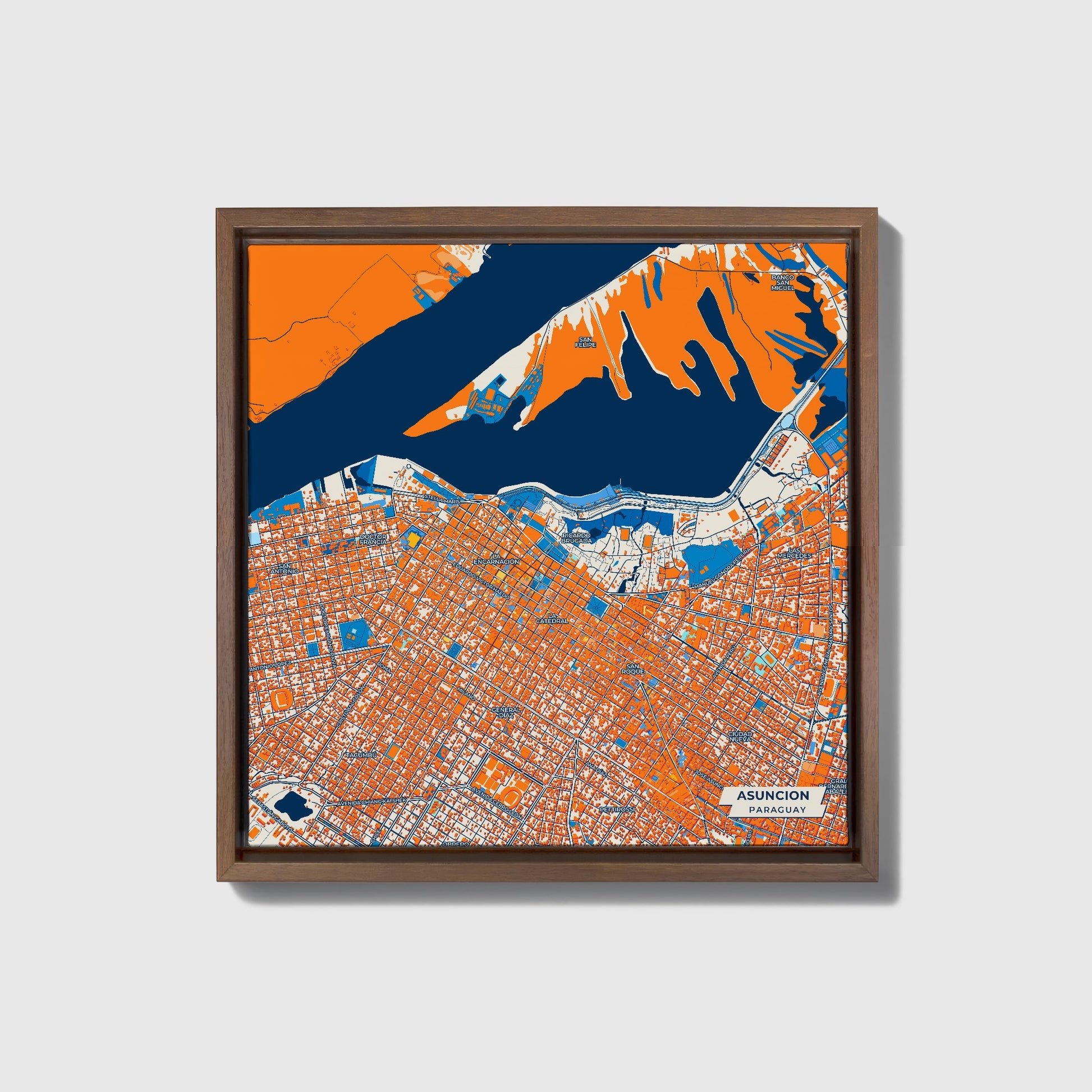 Asuncion Paraguay Colorful City Map Canvas Print • Dark Wooden Framed