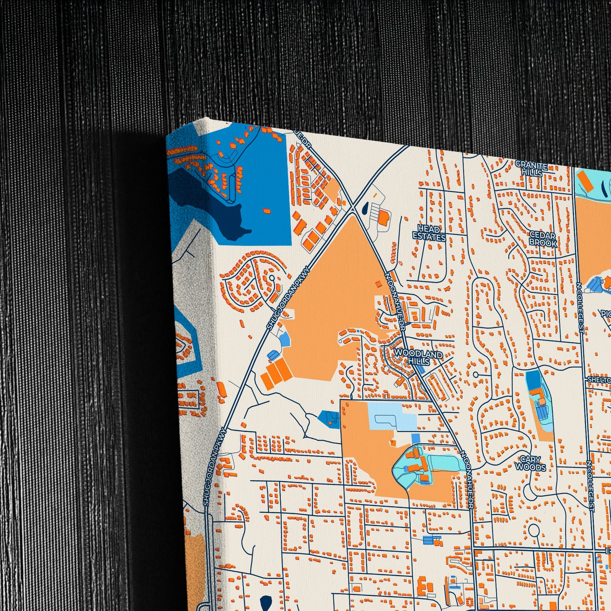 Auburn Alabama Colorful City Map Canvas Print Detail