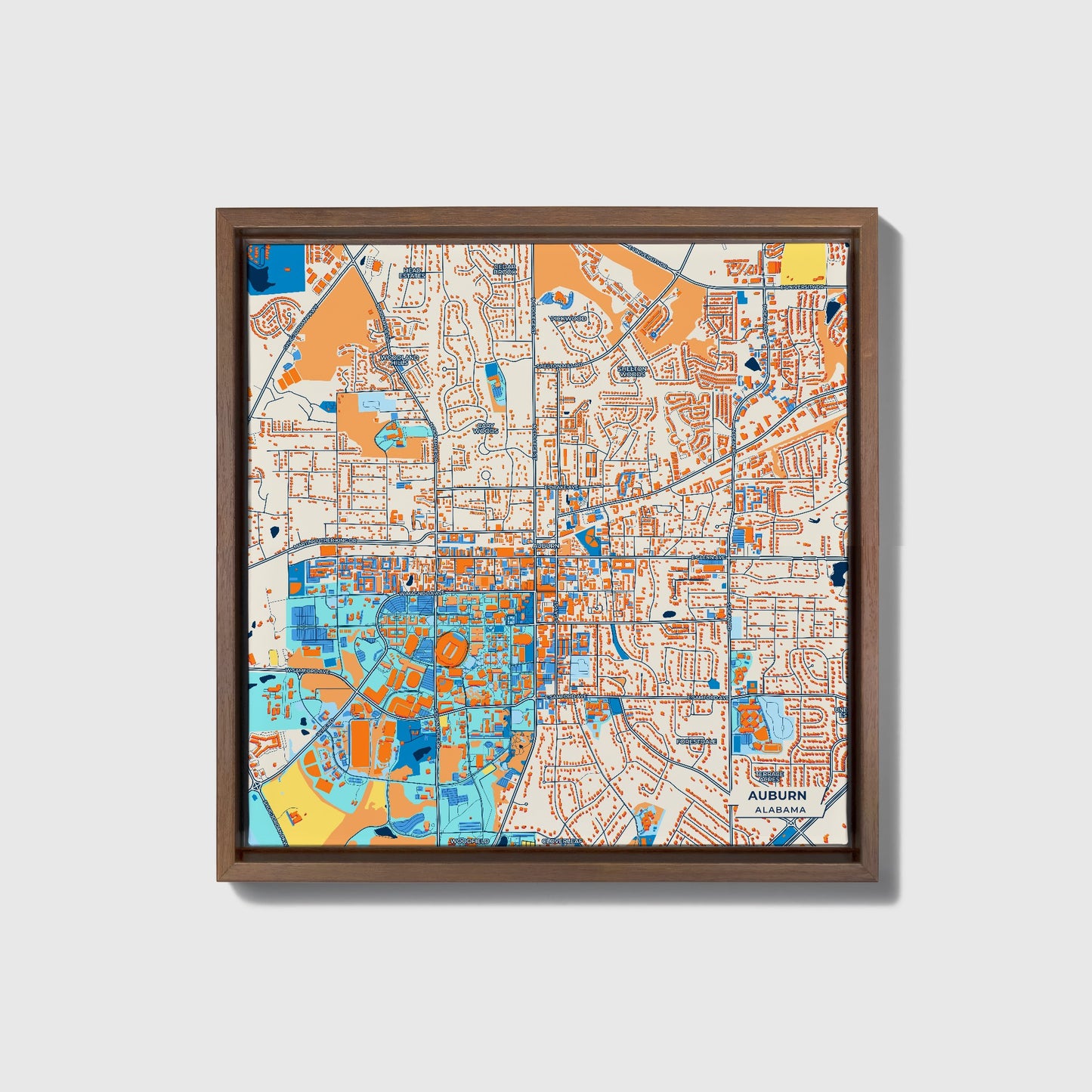 Auburn Alabama Colorful City Map Canvas Print • Dark Wooden Framed