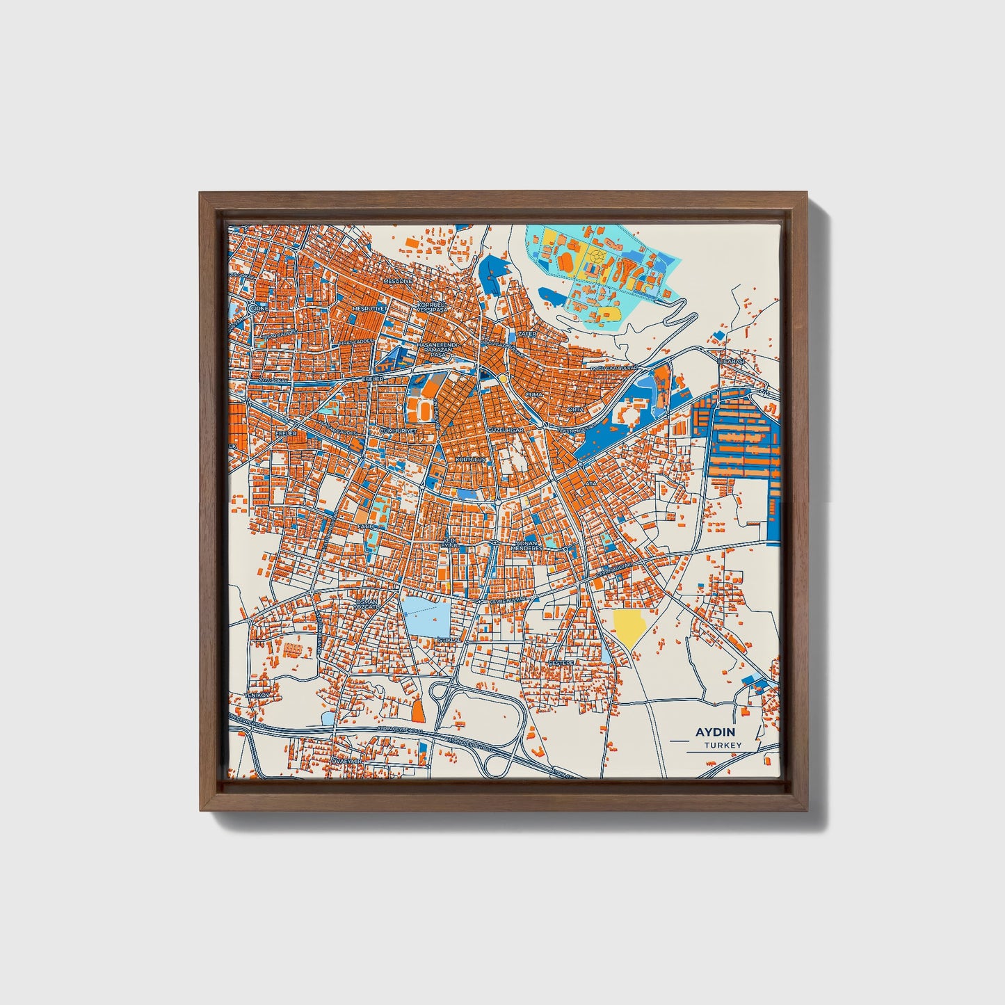Aydin Turkey Colorful City Map Canvas Print • Dark Wooden Framed
