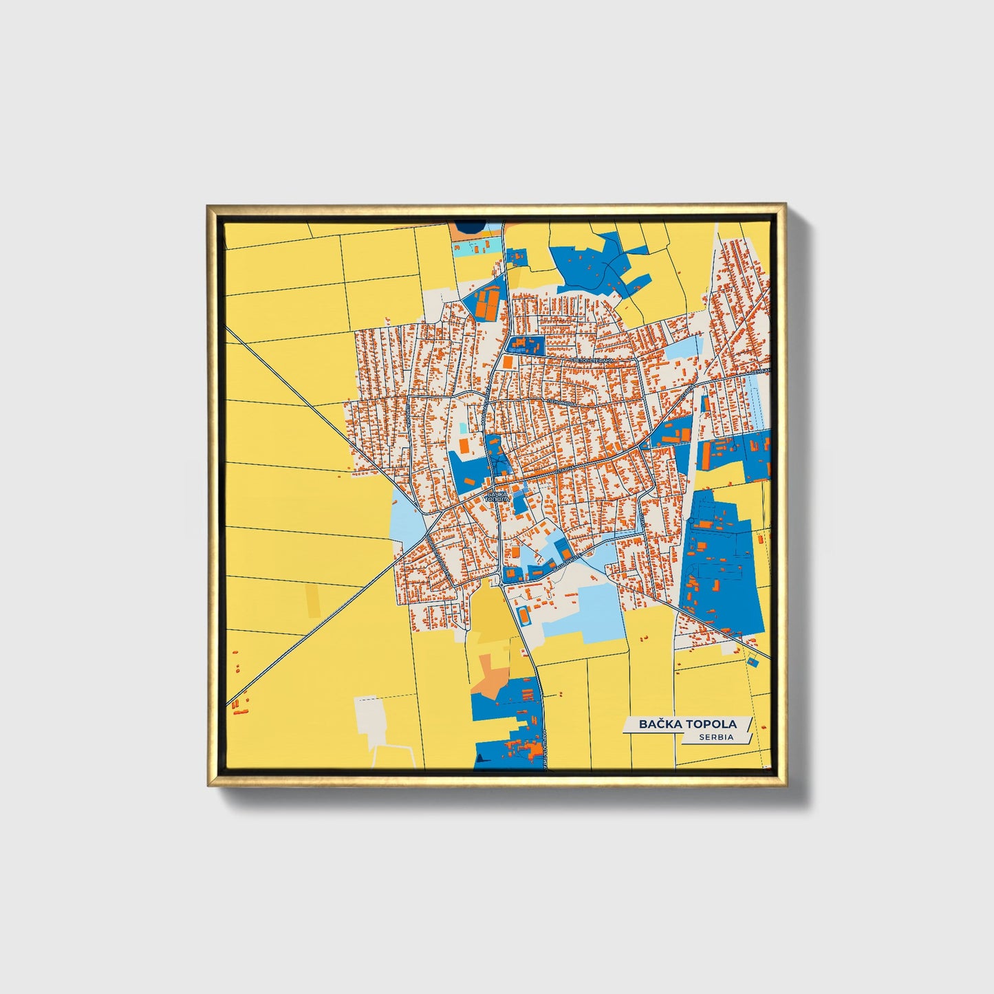 Бачка Топола Serbia Colorful City Map Canvas Print • Gold Framed