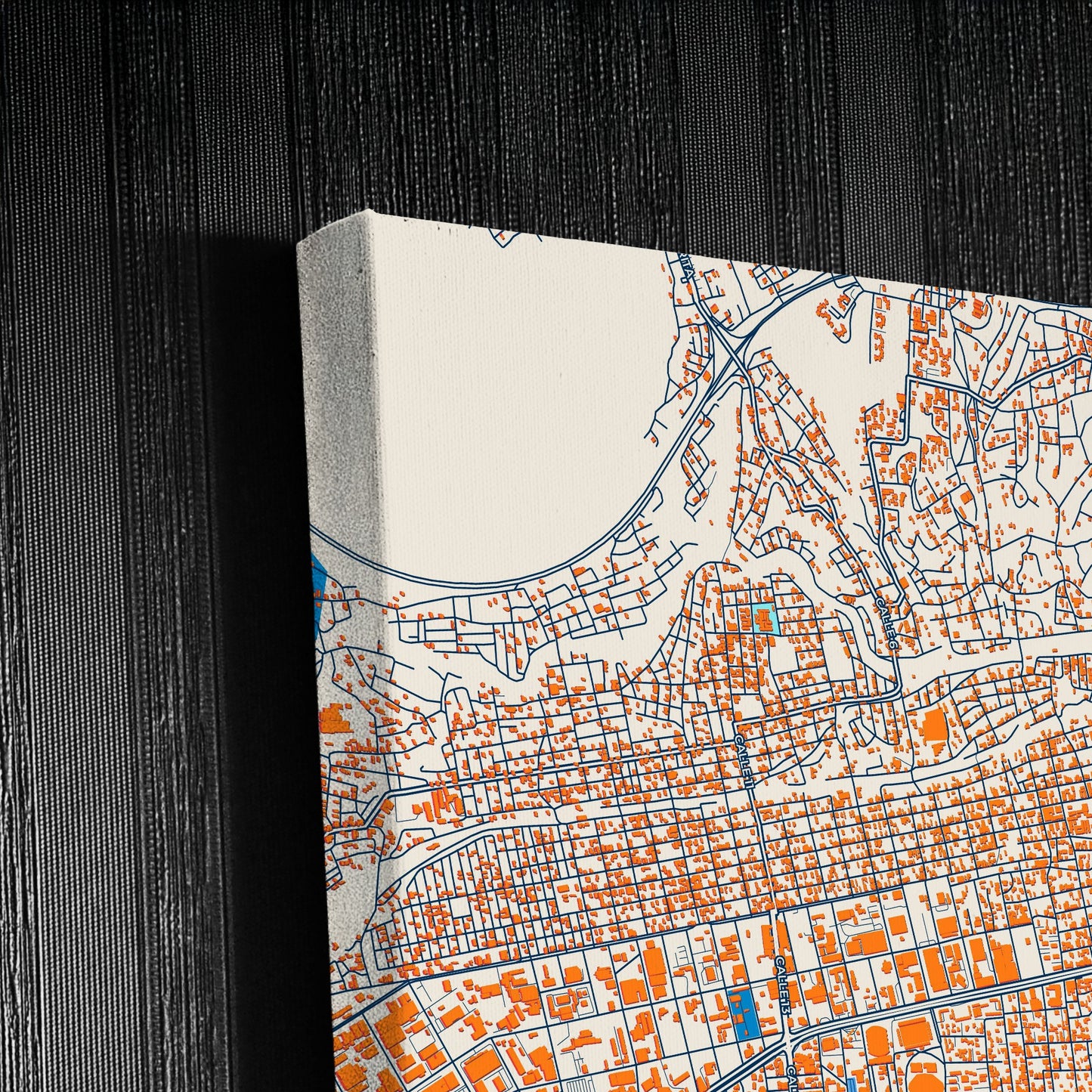Barquisimeto Venezuela Colorful City Map Canvas Print Detail
