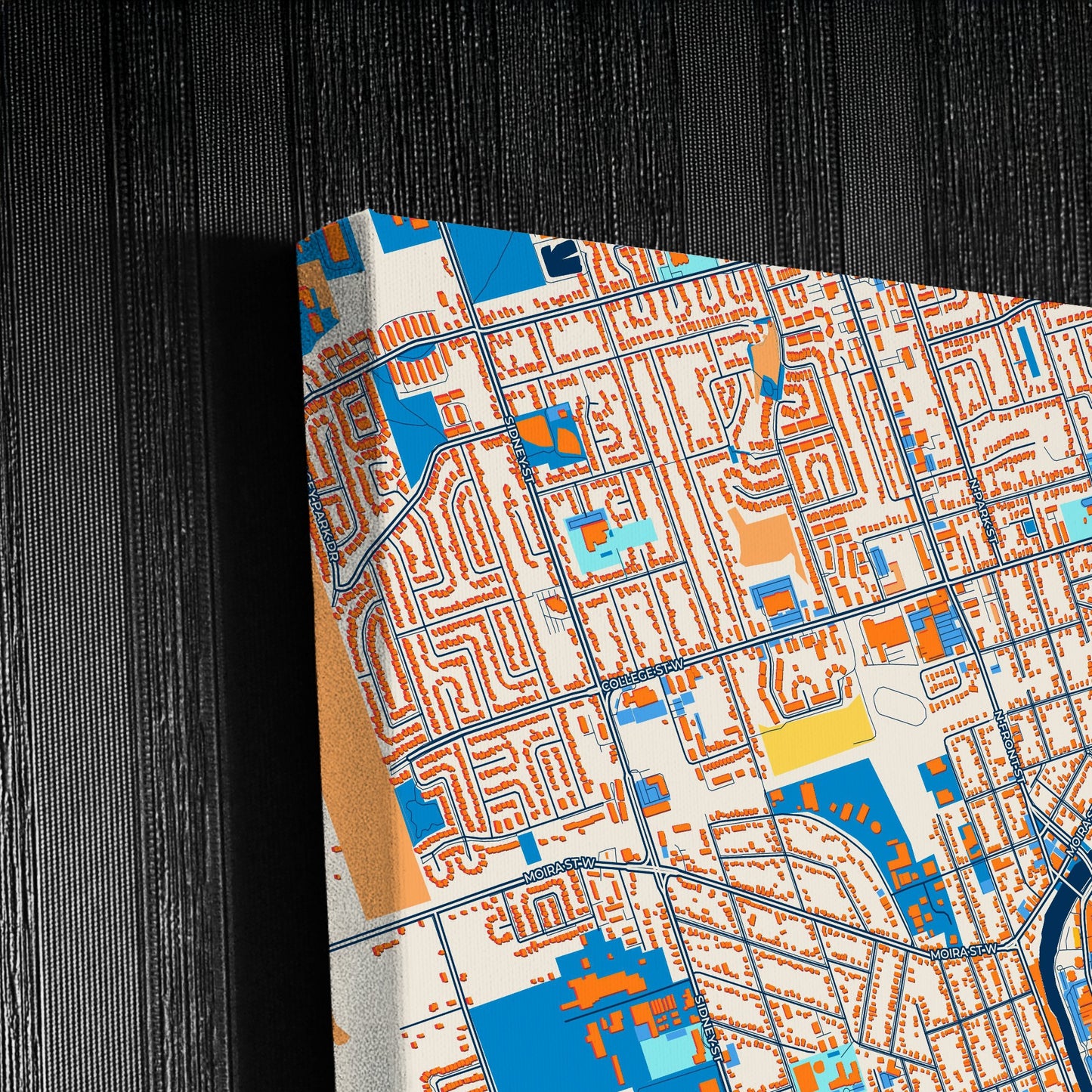 Belleville Canada Colorful City Map Canvas Print Detail
