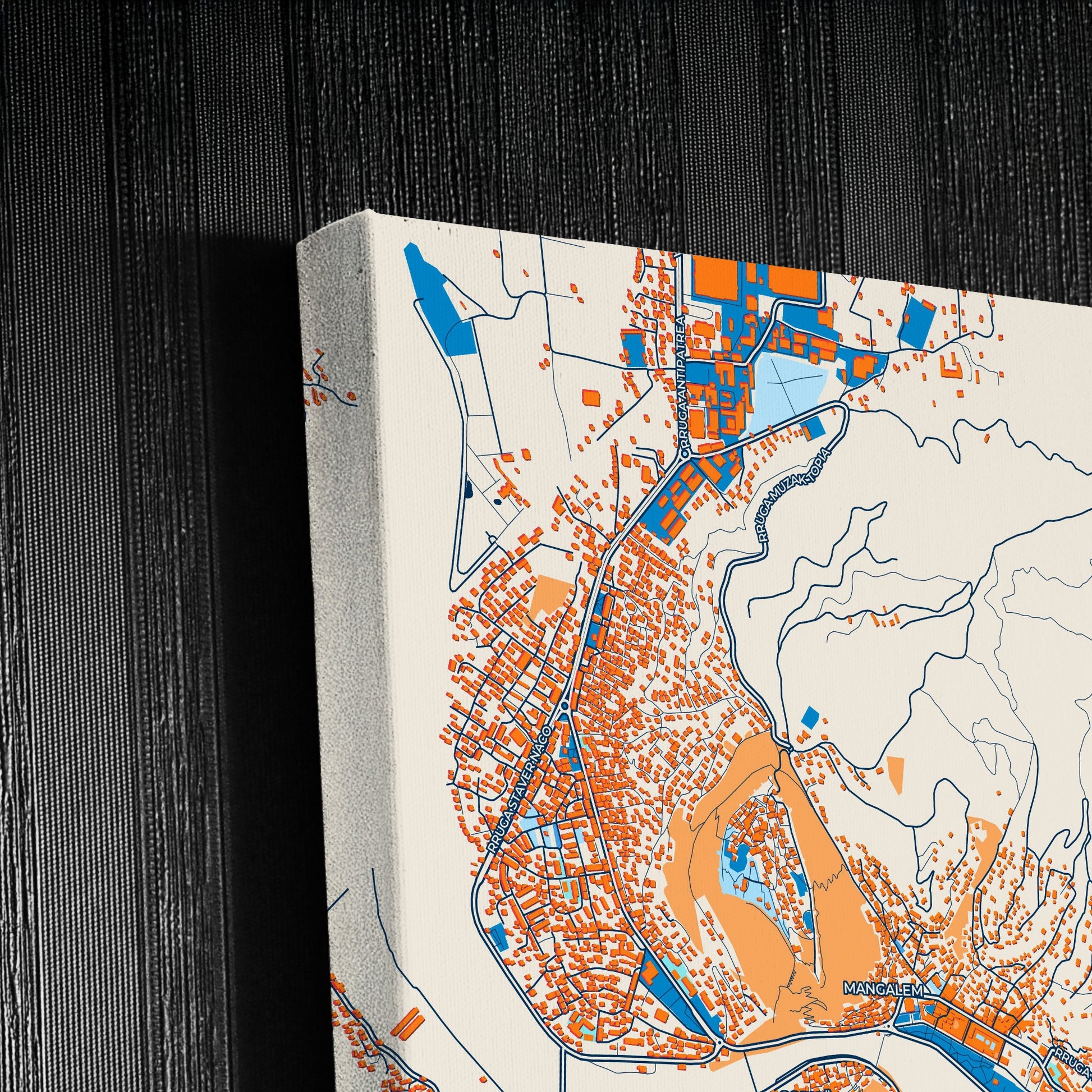 Berat Albania Colorful City Map Canvas Print Detail