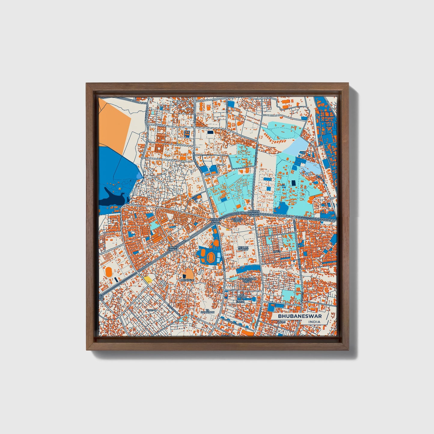 Bhubaneswar India Colorful City Map Canvas Print • Dark Wooden Framed