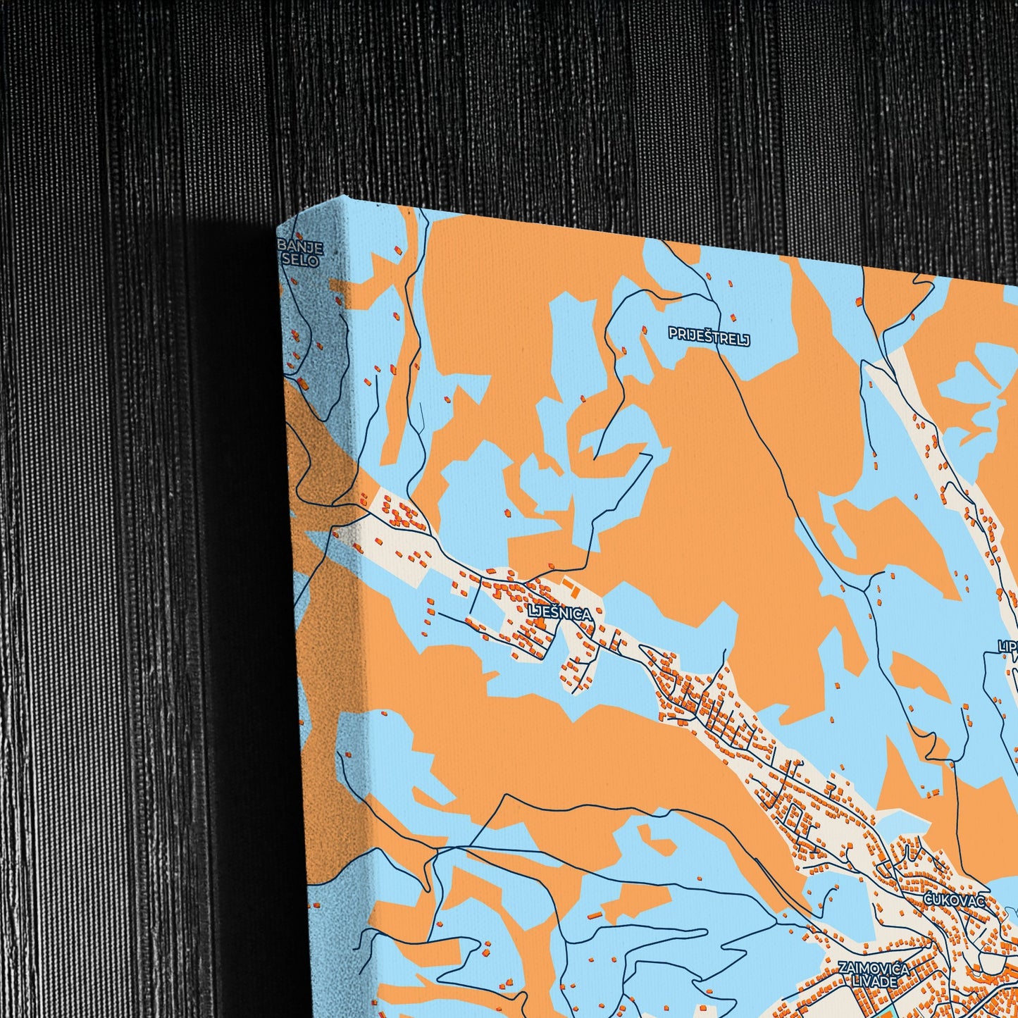 Bijelo Polje Montenegro Colorful City Map Canvas Print Detail