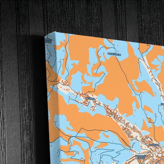 Bijelo Polje Montenegro Colorful City Map Canvas Print Detail